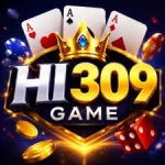 HI309 Game